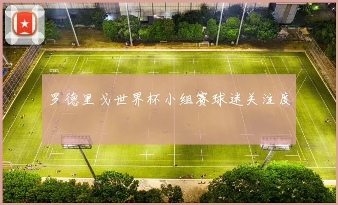 罗德里戈世界杯小组赛球迷关注度