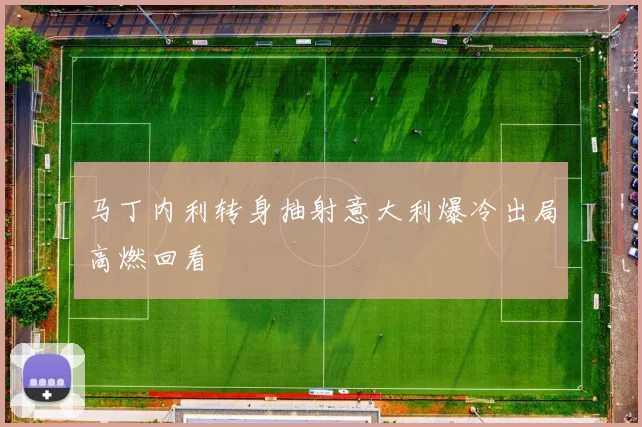 马丁内利转身抽射意大利爆冷出局高燃回看