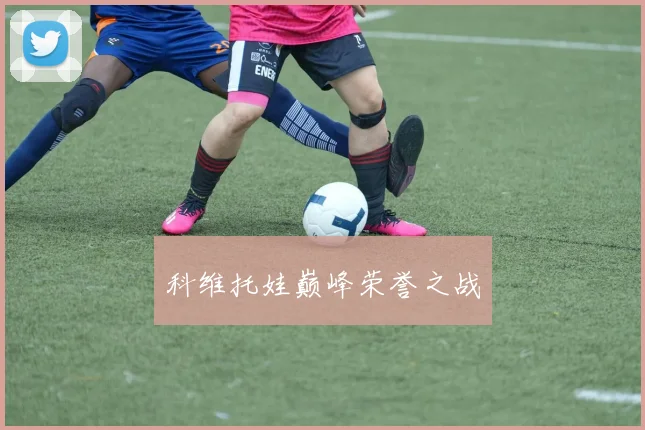 科维托娃巅峰荣誉之战