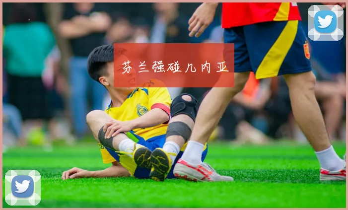 芬兰强碰几内亚