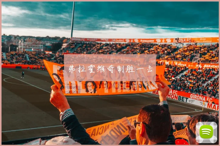 弗拉霍维奇制胜一击
