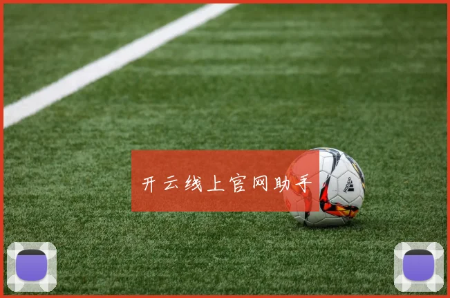 开云线上官网助手