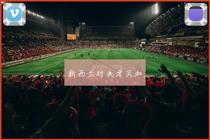 新西兰对决牙买加