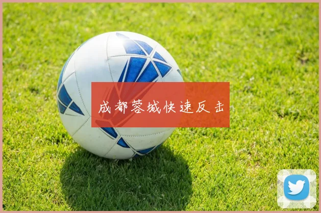 成都蓉城快速反击