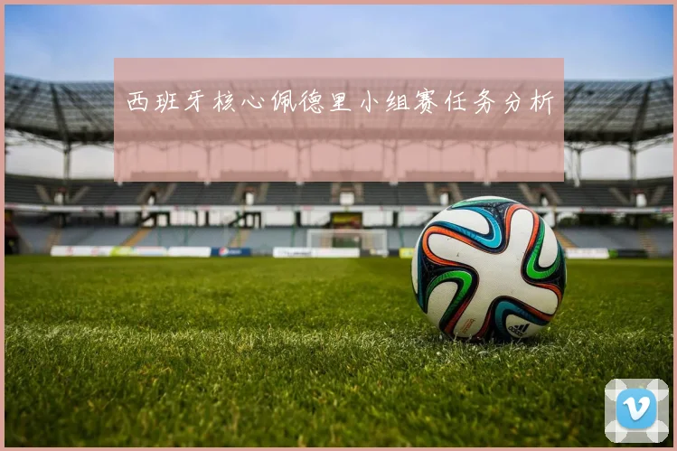 西班牙核心佩德里小组赛任务分析