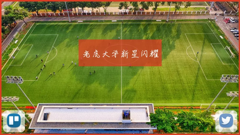 老虎大学新星闪耀