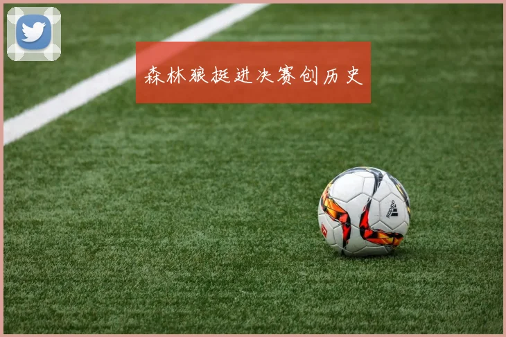 森林狼挺进决赛创历史