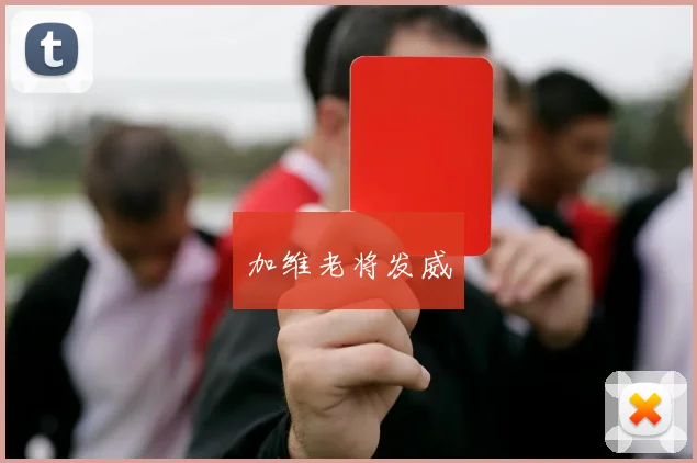 加维老将发威