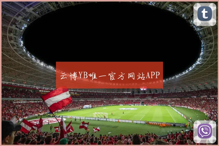 云博YB唯一官方网站APP