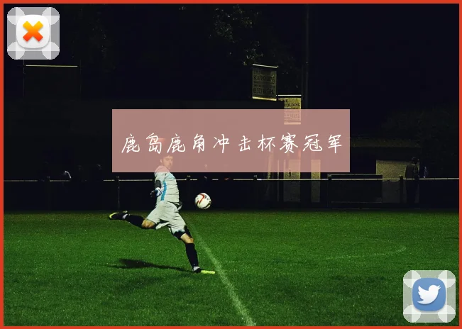 鹿岛鹿角冲击杯赛冠军