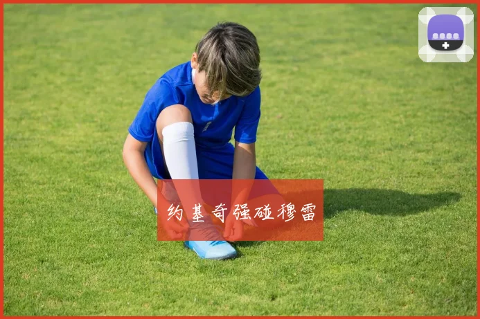 约基奇强碰穆雷