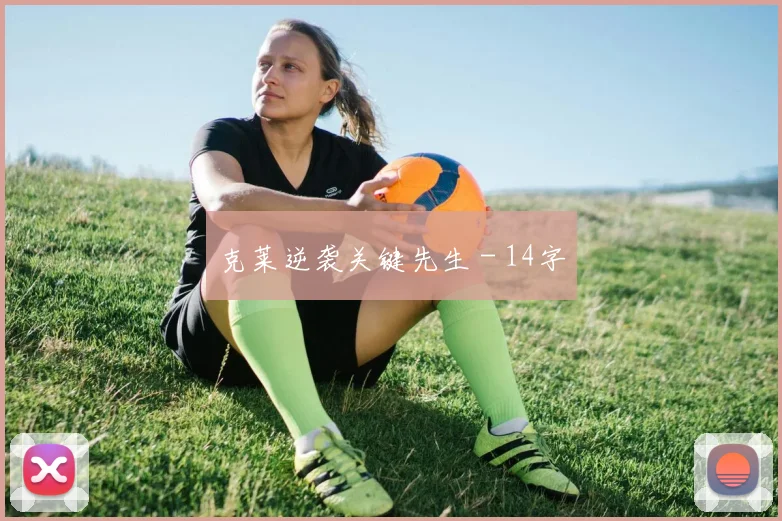 克莱逆袭关键先生 - 14字