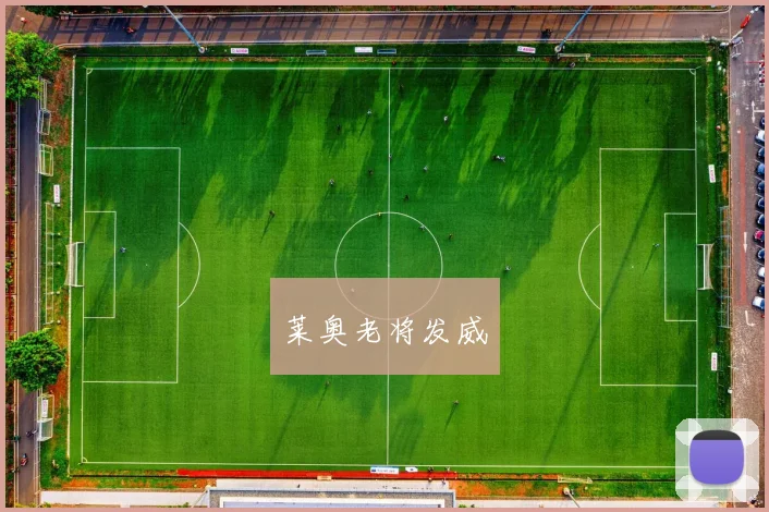 莱奥老将发威