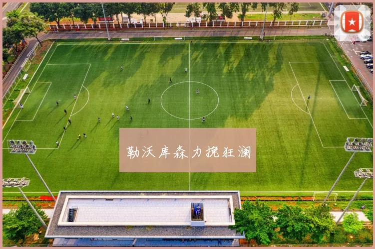 勒沃库森力挽狂澜