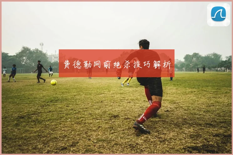 费德勒网前绝杀技巧解析
