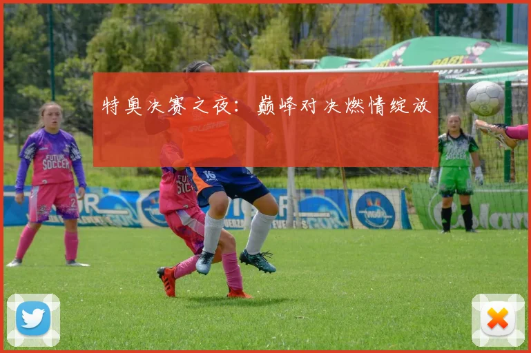 特奥决赛之夜：巅峰对决燃情绽放