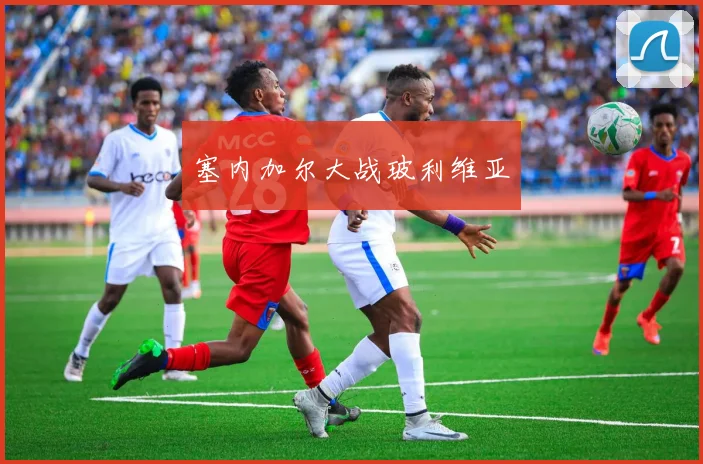 塞内加尔大战玻利维亚