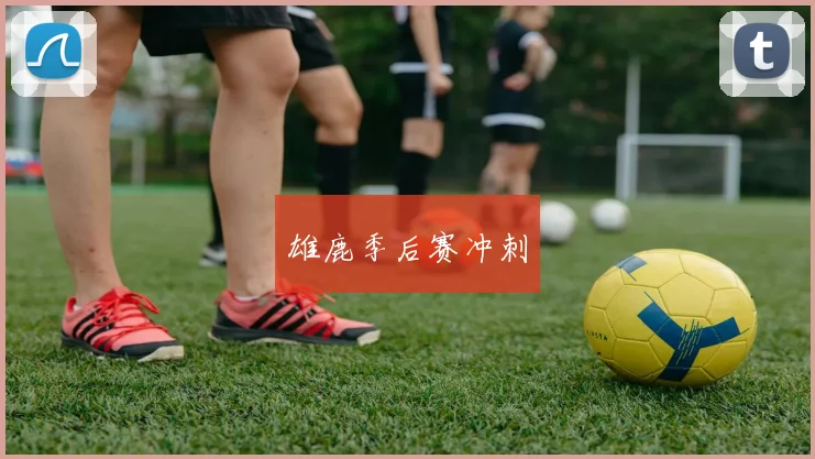 雄鹿季后赛冲刺