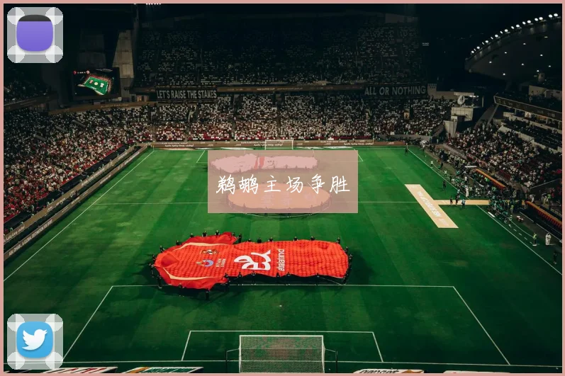 鹈鹕主场争胜