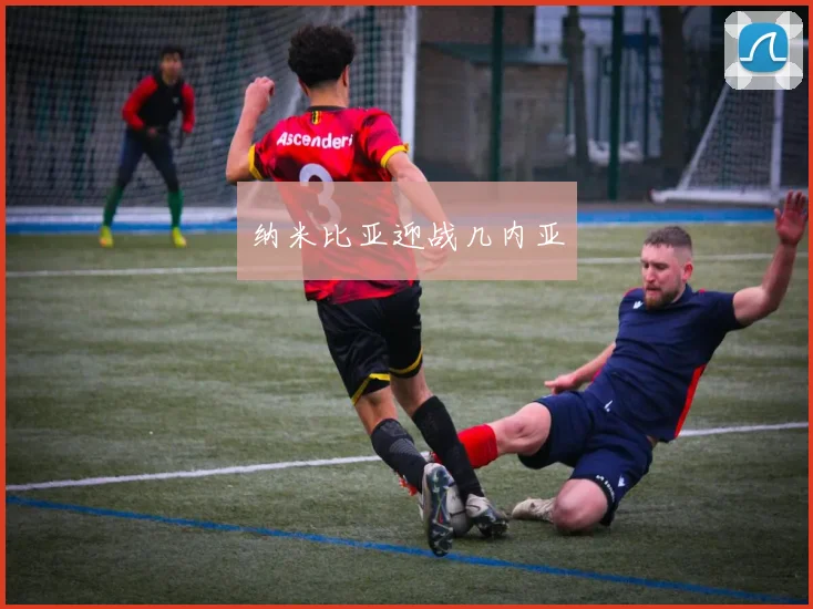 纳米比亚迎战几内亚