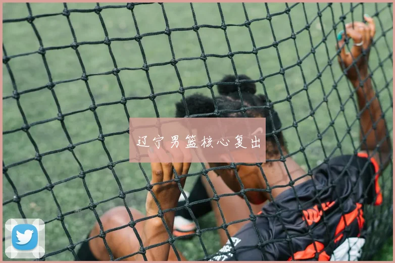辽宁男篮核心复出