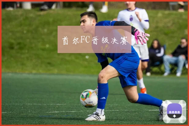 首尔FC晋级决赛