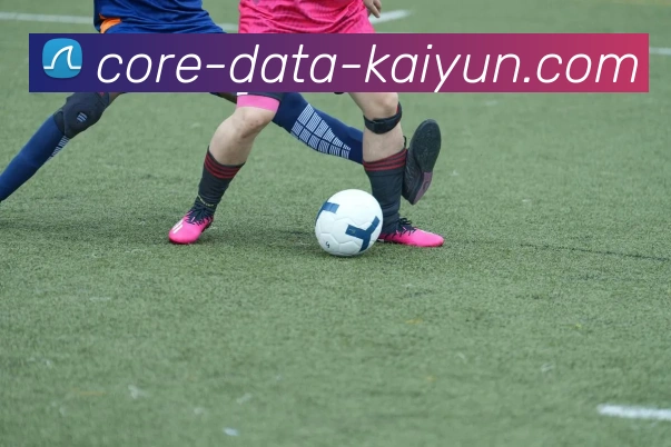 开云Kaiyun体育综合登录入口服务体系