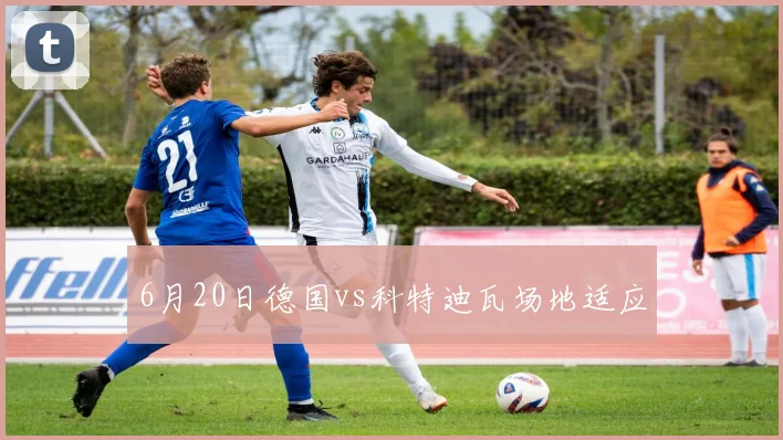 6月20日德国vs科特迪瓦场地适应