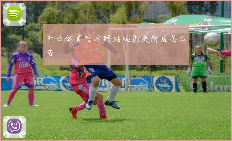 开云体育官方网站规则更新后怎么查