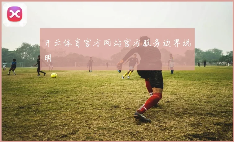 开云体育官方网站官方服务边界说明