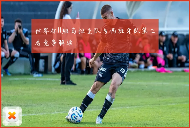 世界杯H组乌拉圭队与西班牙队第三名竞争解读